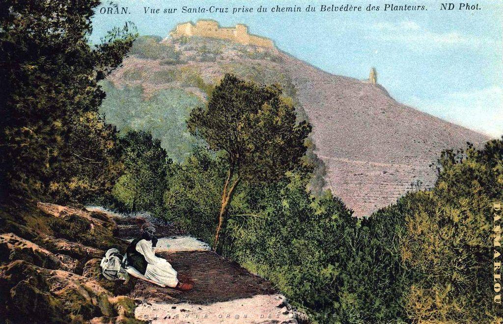 Z ORAN- DIVERS COLORISE - 21.jpg